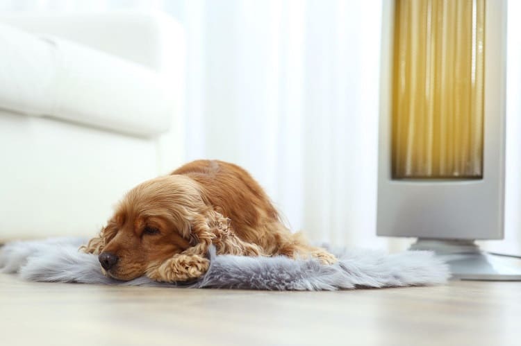 What is Infrared Heat