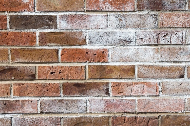 What is efflorescence